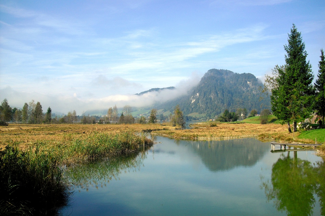 landscape autumn fog free photo