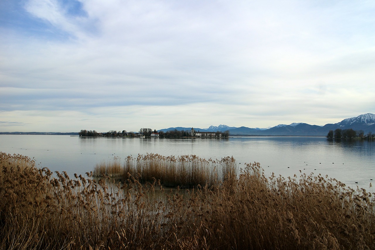 landscape chiemsee reed free photo