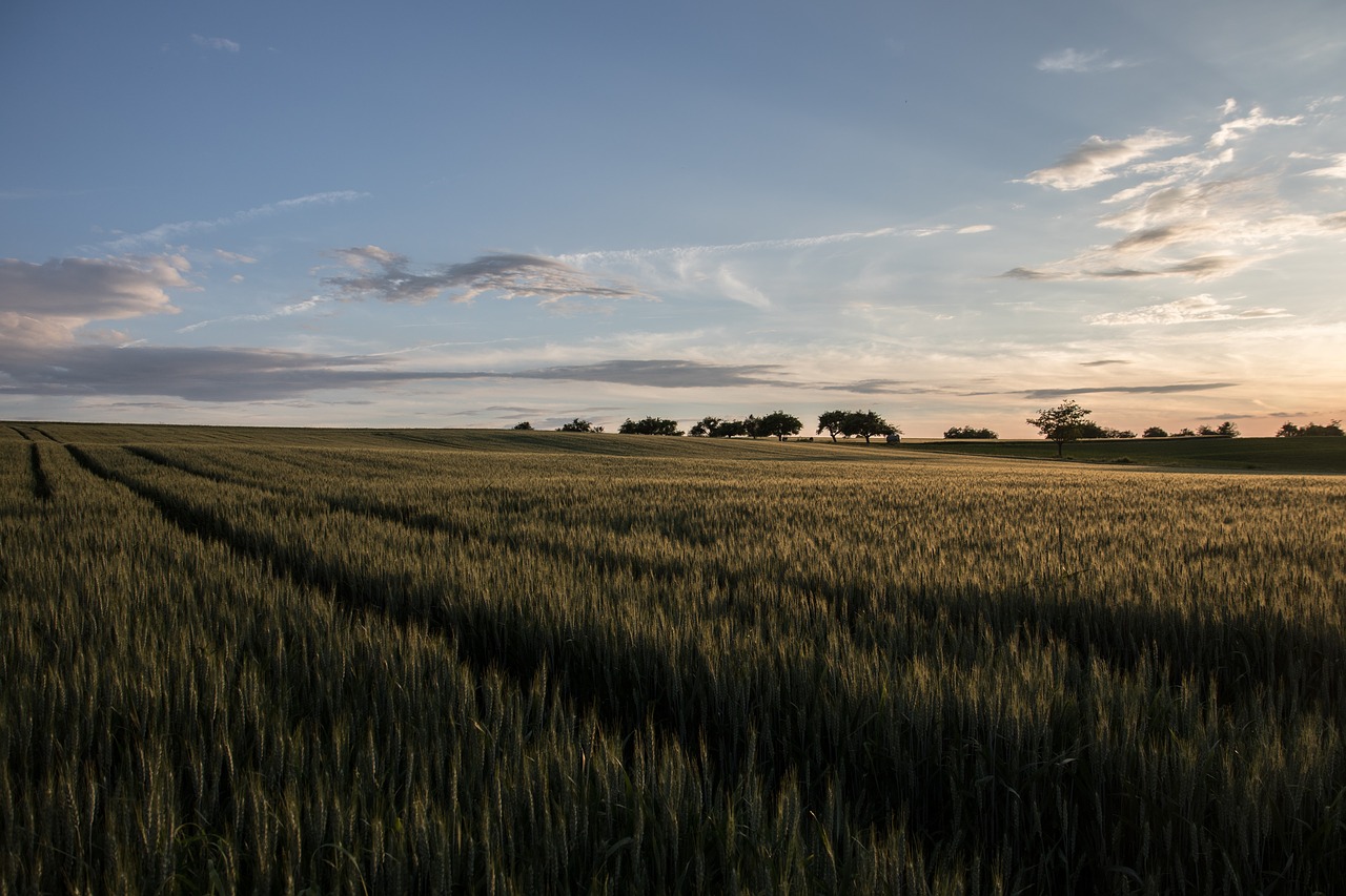 landscape summer nature free photo