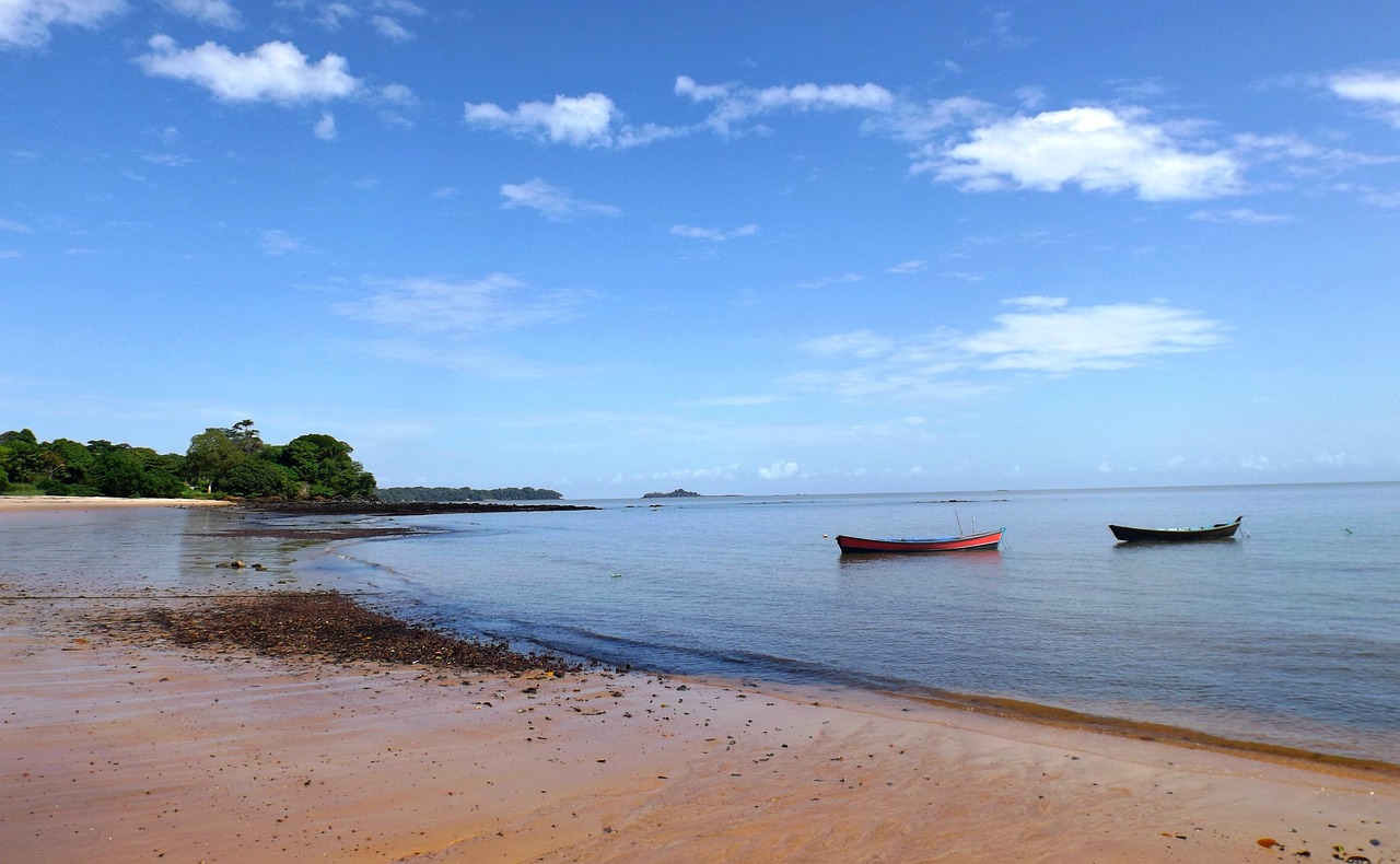 landscape beach amazonica mosqueiro free photo