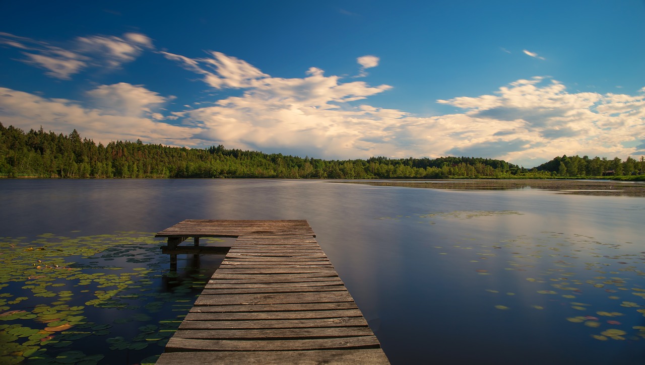 landscape nature background free photo