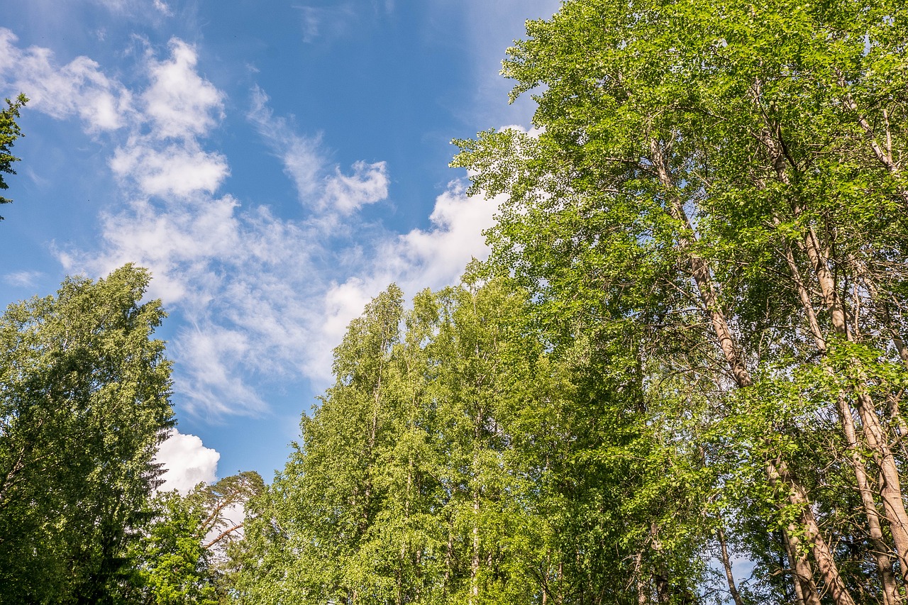 landscape sky beauty free photo