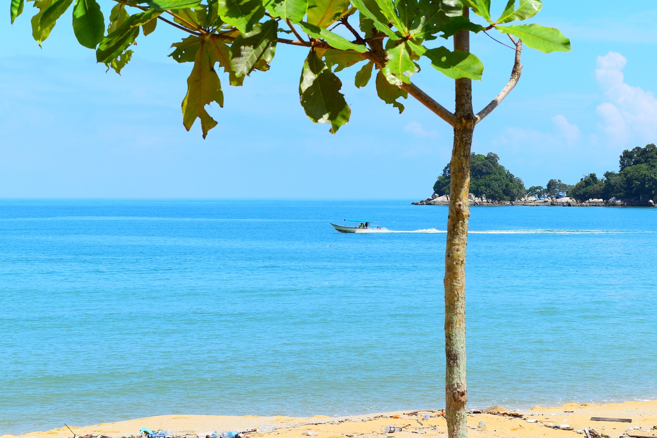 landscape sea boat free photo