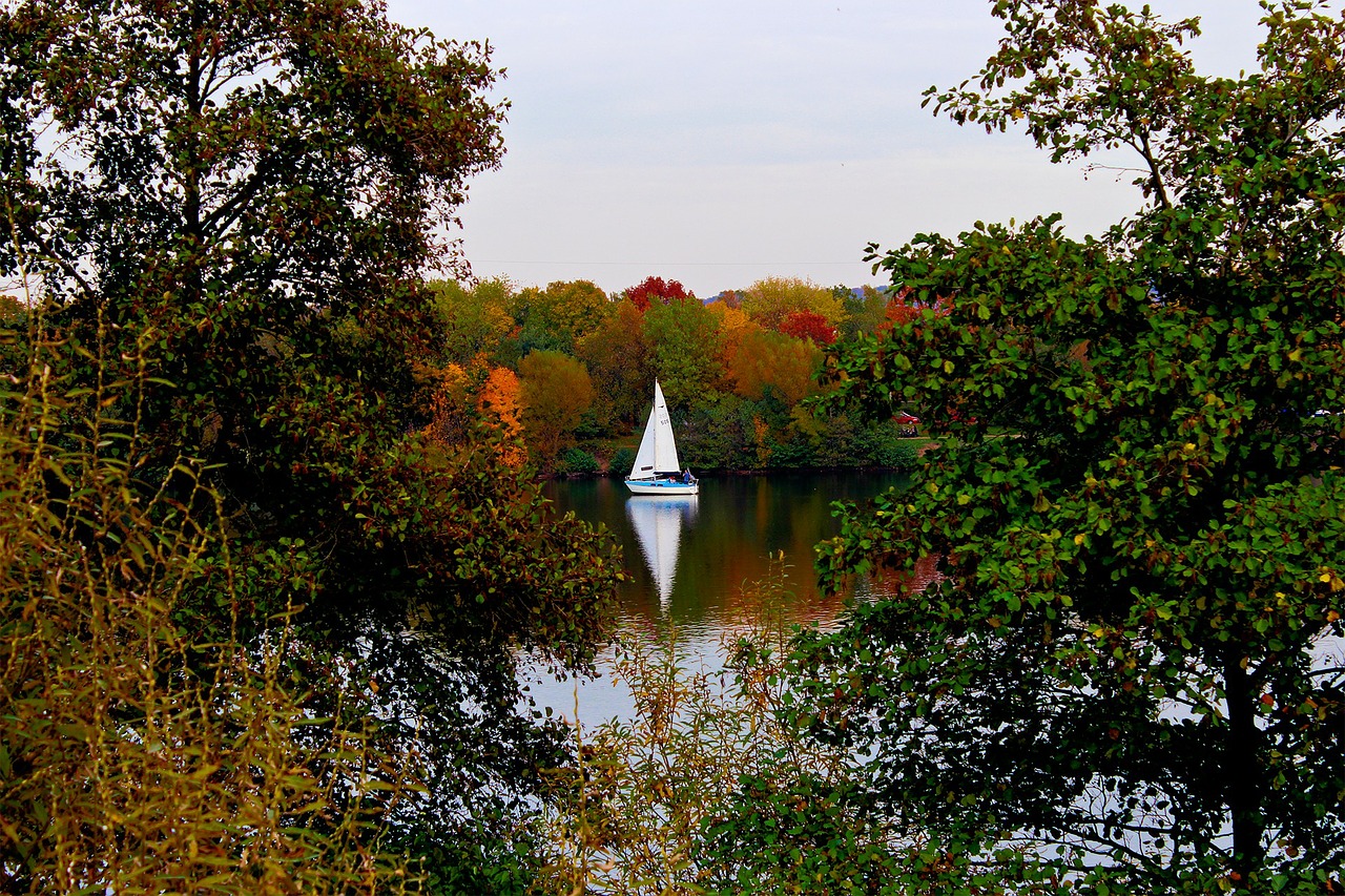 landscape autumn water boat free photo