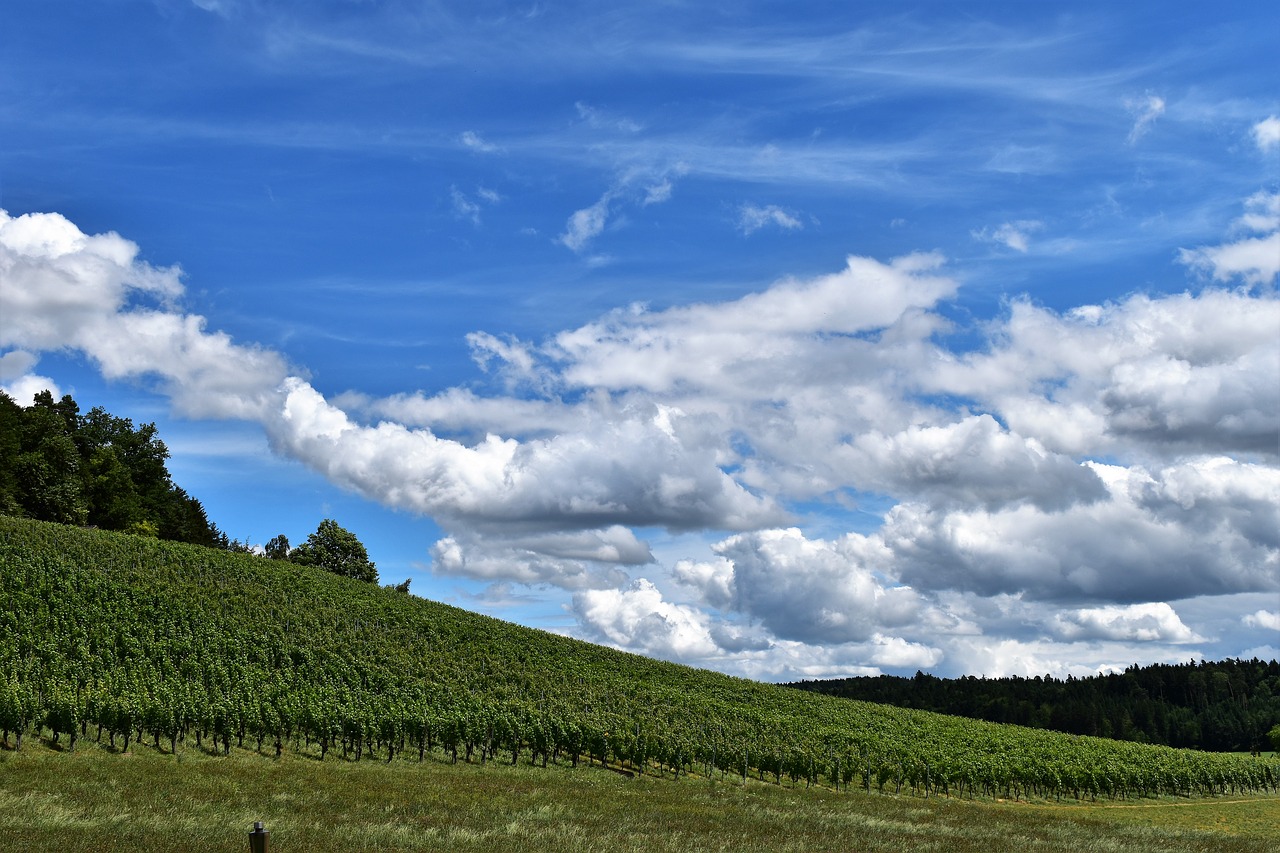 landscape view clouds free photo