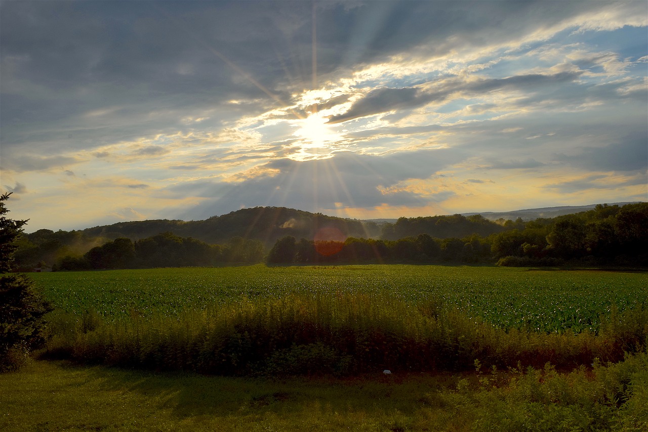 landscape field sunshine free photo