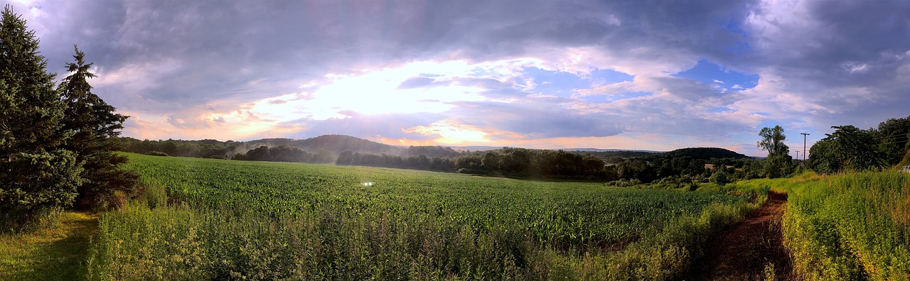 landscape field sunshine free photo