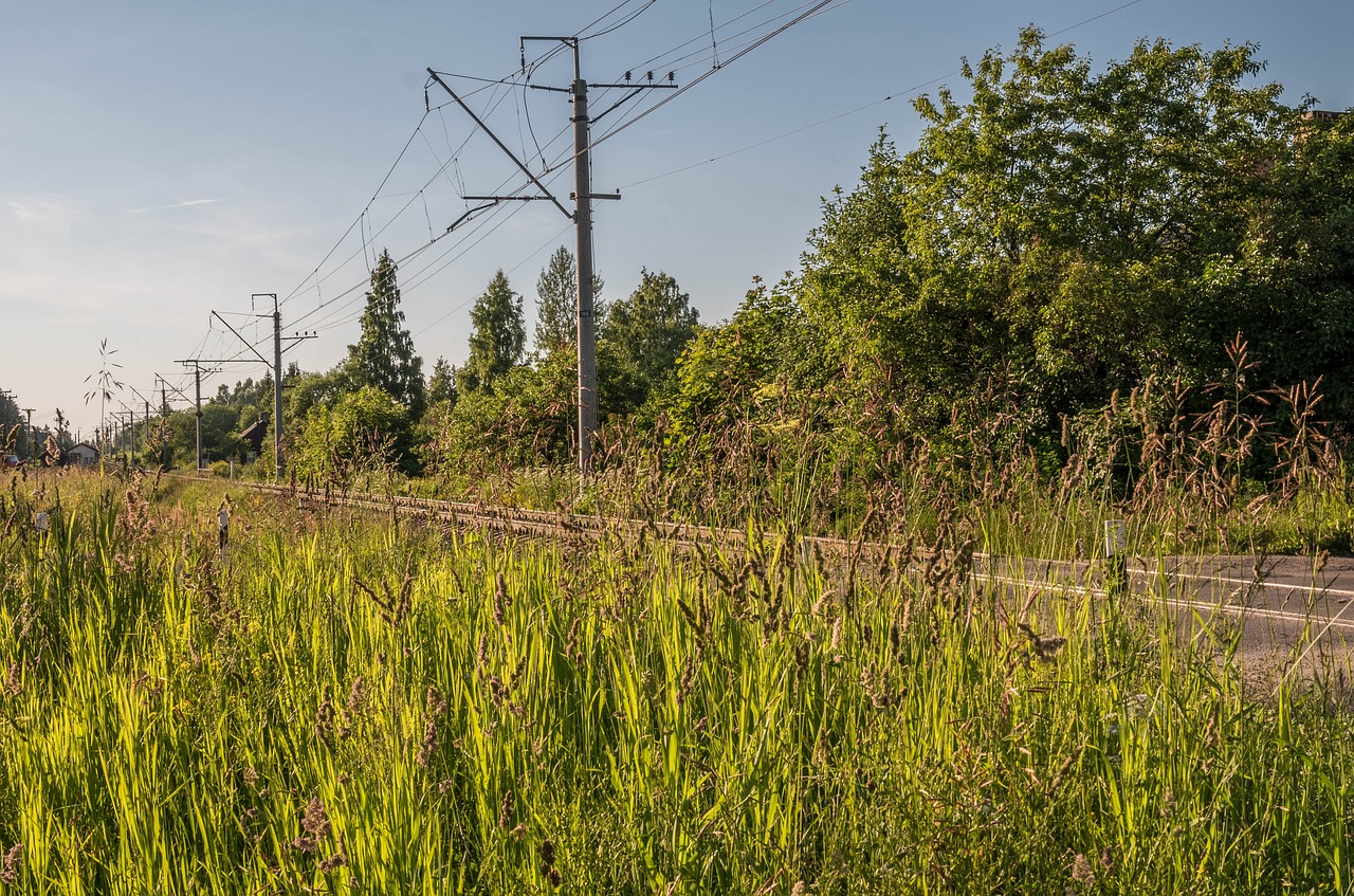 landscape beauty russia free photo