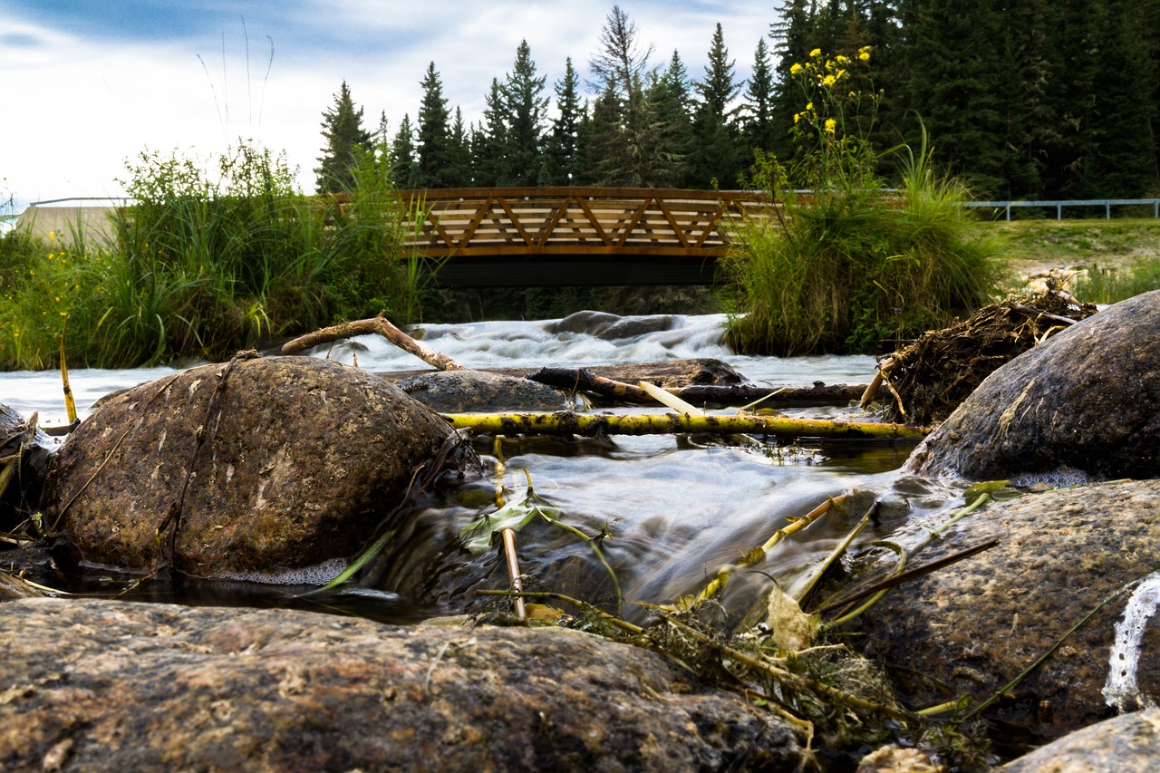 landscape bridge water free photo