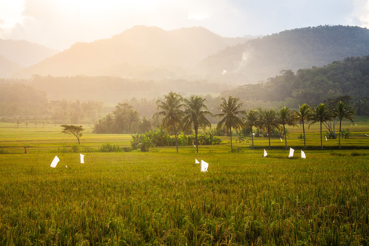 landscape landscapes sunset free photo