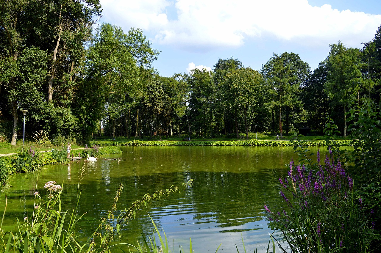 landscape lake pond free photo