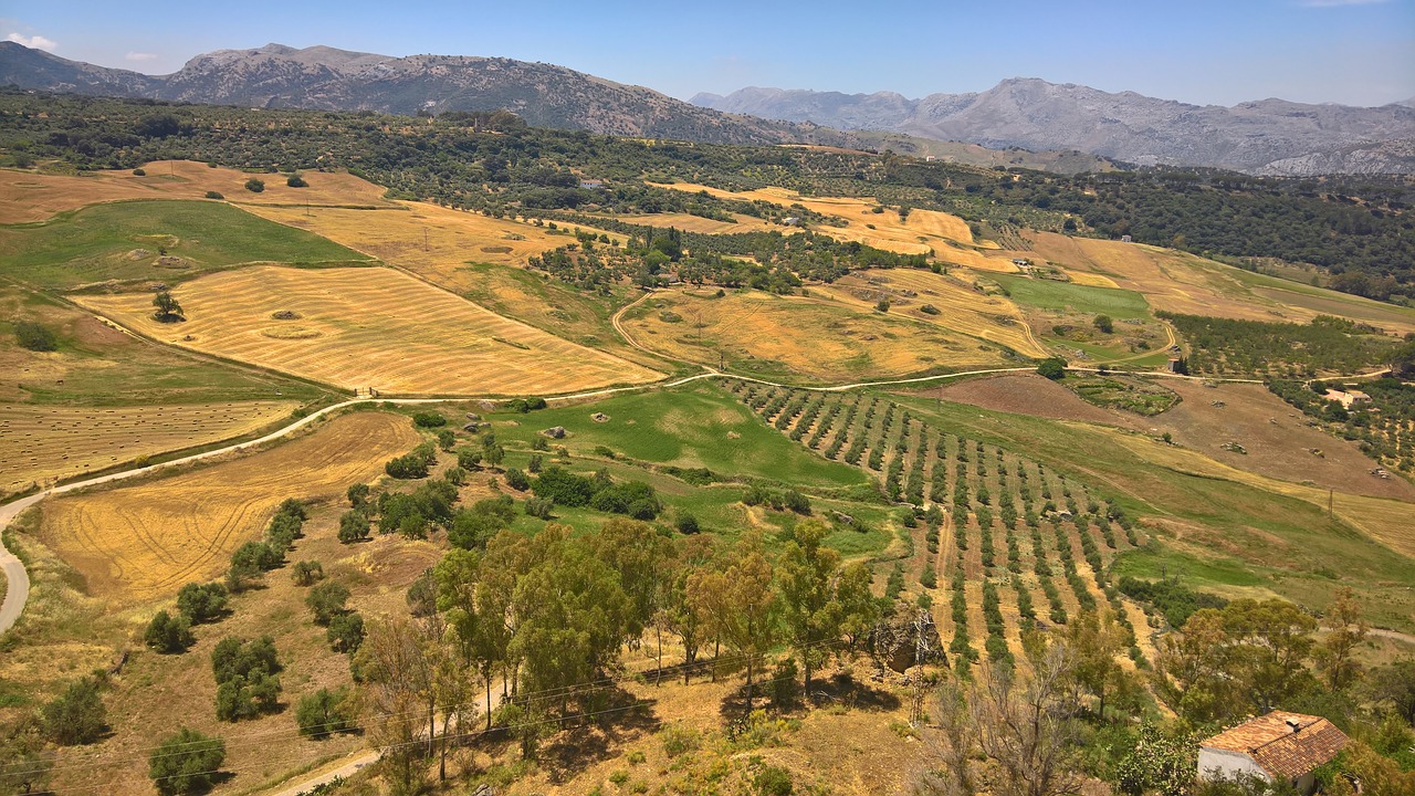 landscape spanish dry free photo