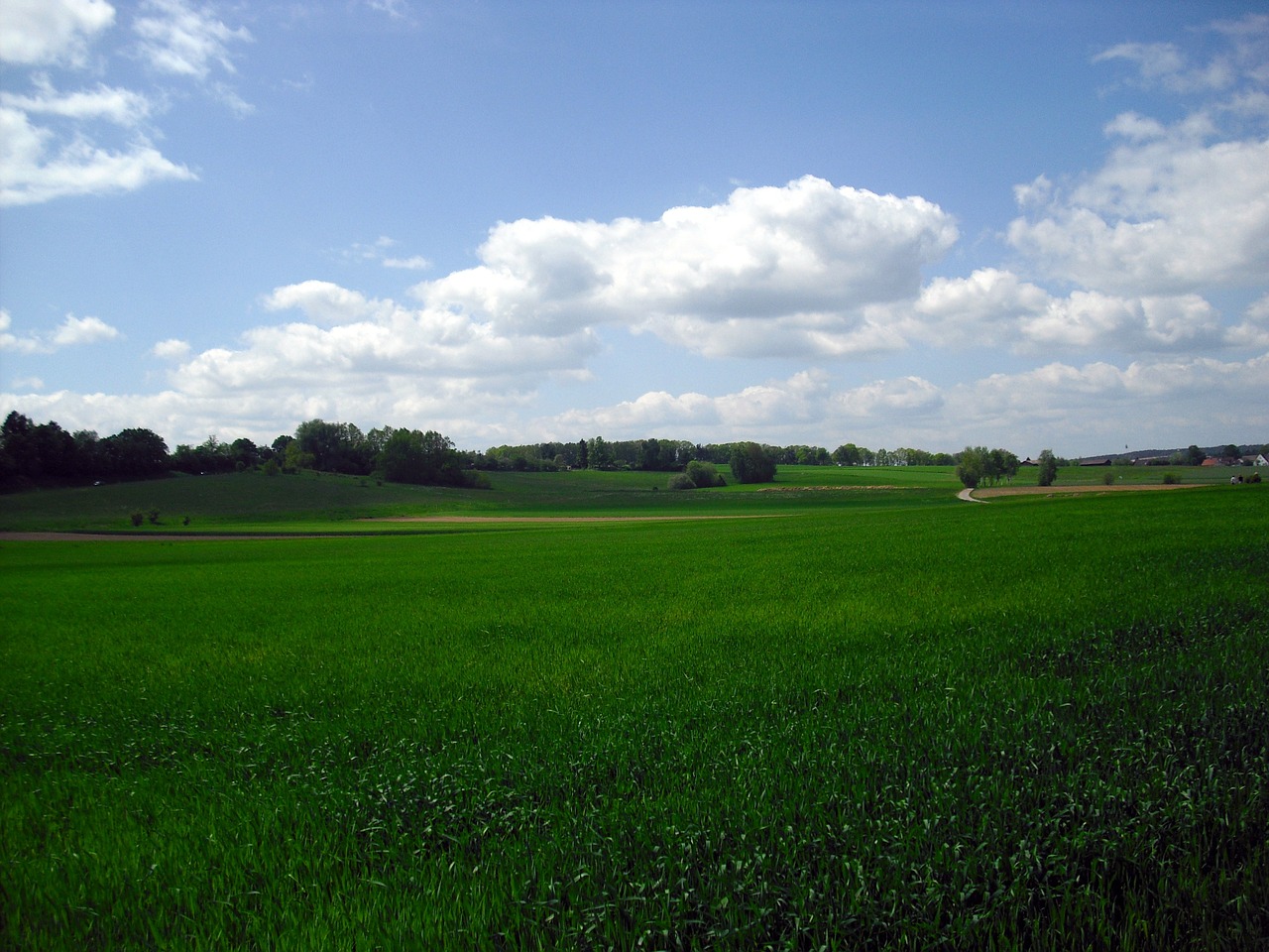 landscape meadow sky free photo