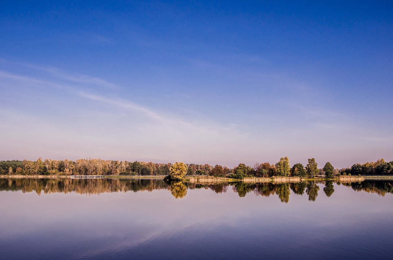 landscape forests sky free photo