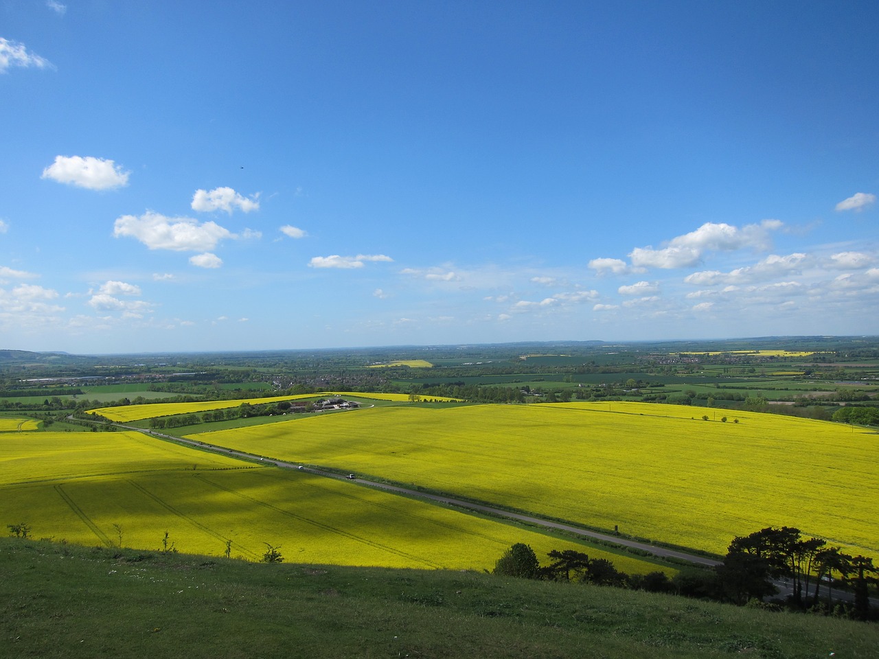 landscape summer landscape rapeseed free photo