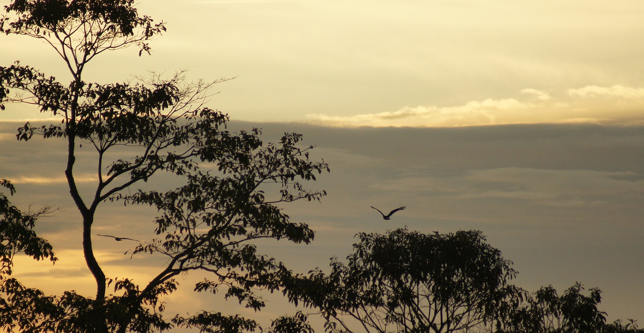 landscape sunset the field free photo