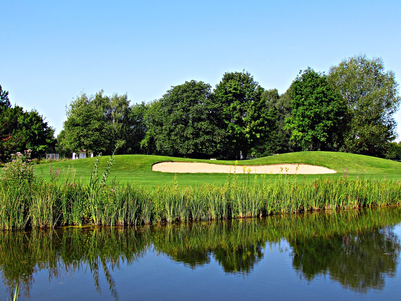 landscape water pond free photo