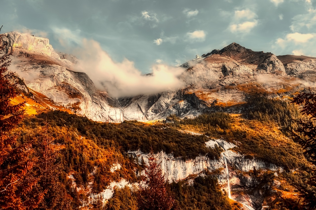 landscape mountains forest free photo