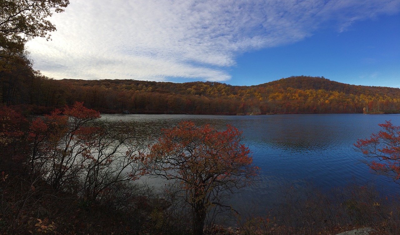 landscape panoramic foliage free photo