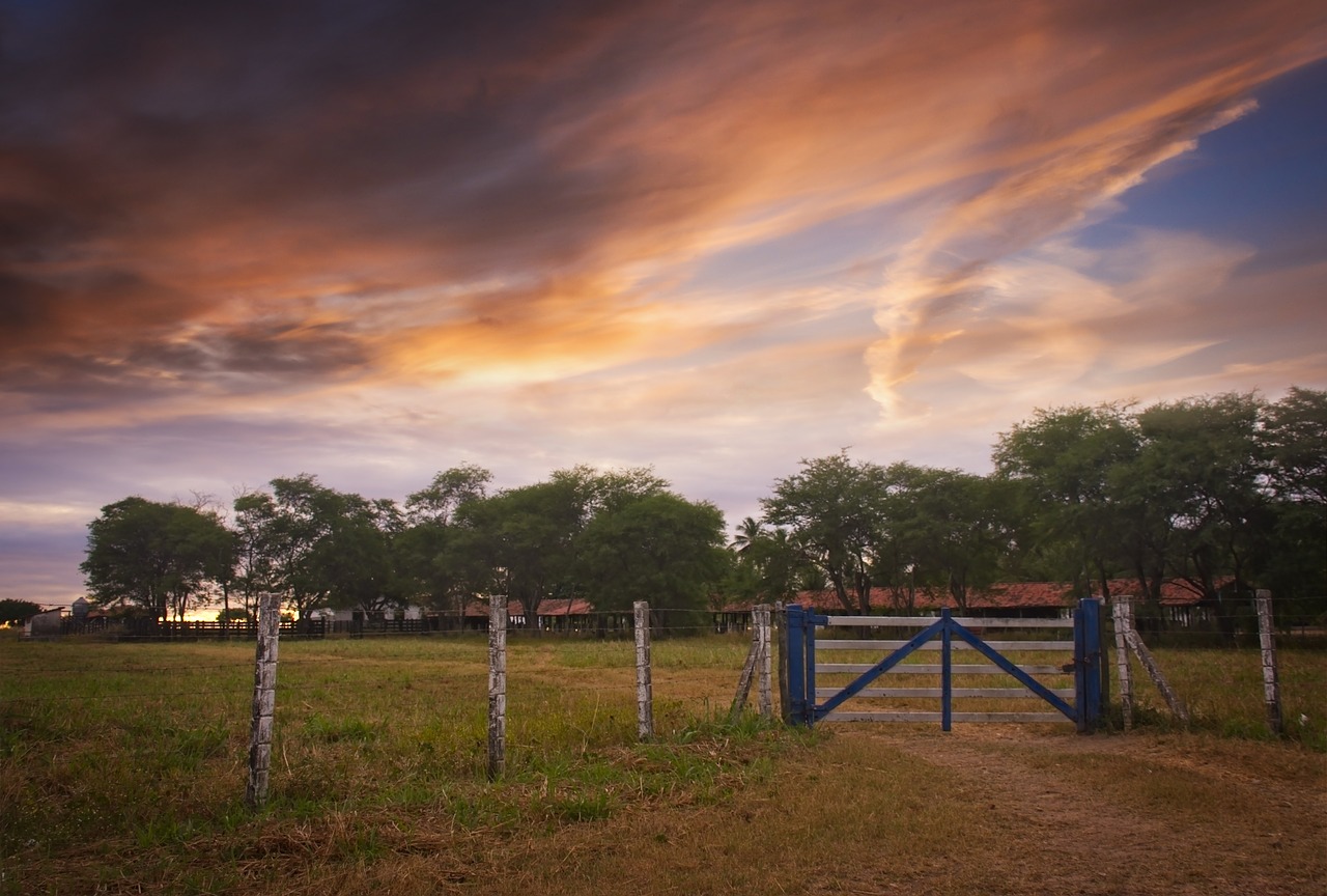 landscape sky farm free photo