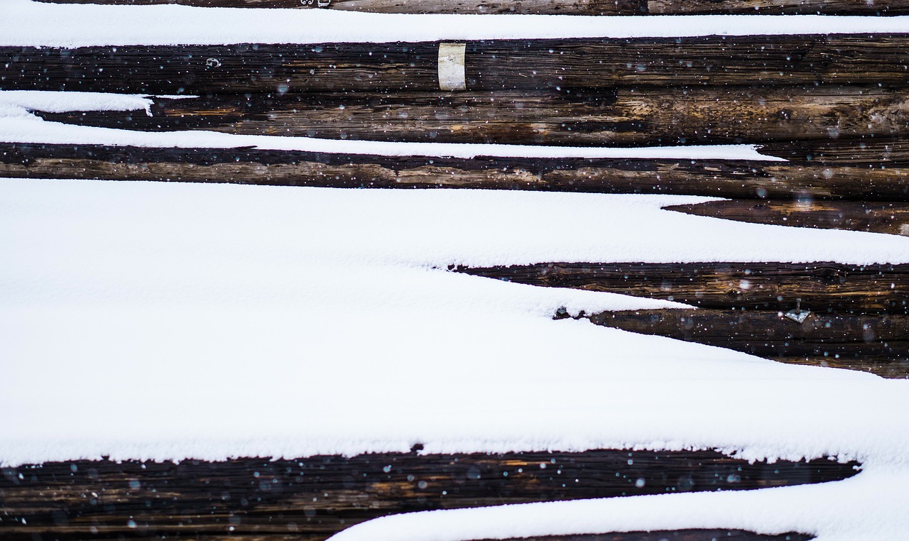 landscape snow winter free photo