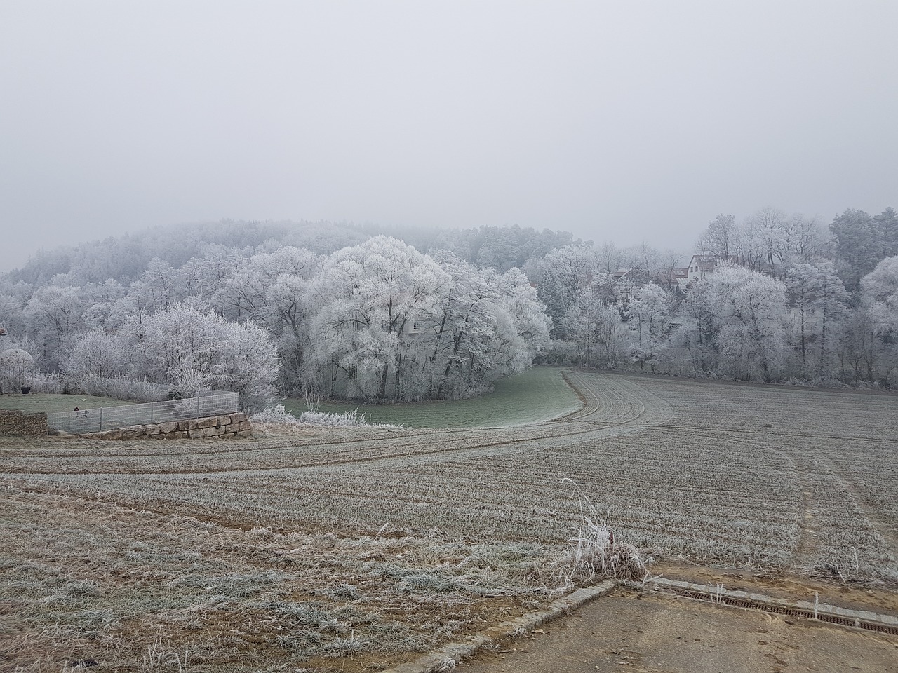 landscape hoarfrost frost free photo