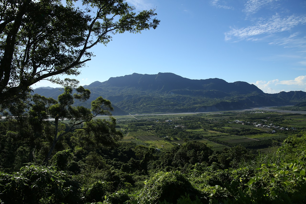 landscape rural light free photo