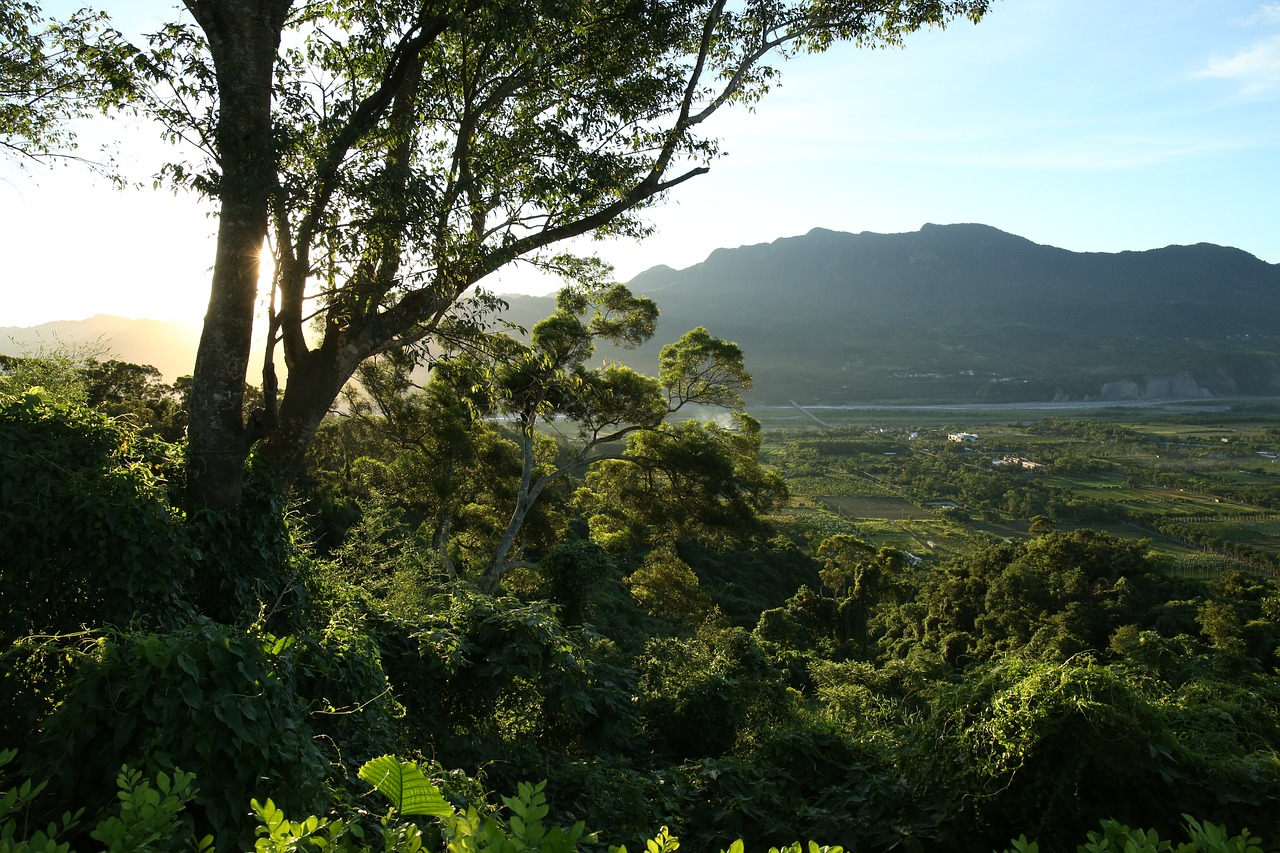 landscape rural light free photo