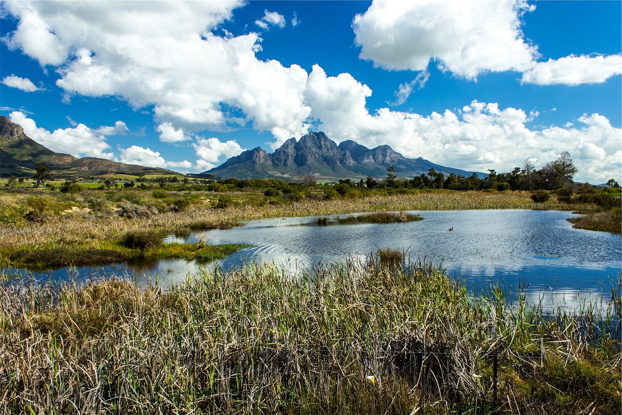 landscape river water free photo