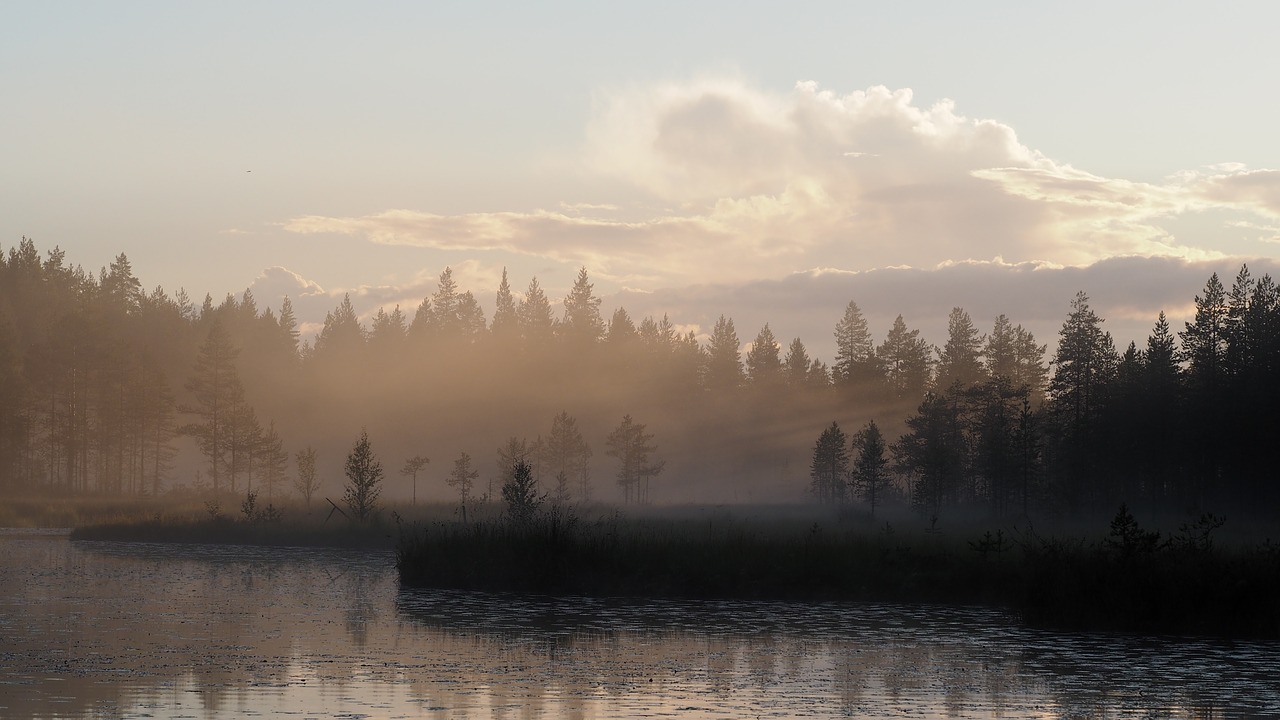 landscape mist morning free photo