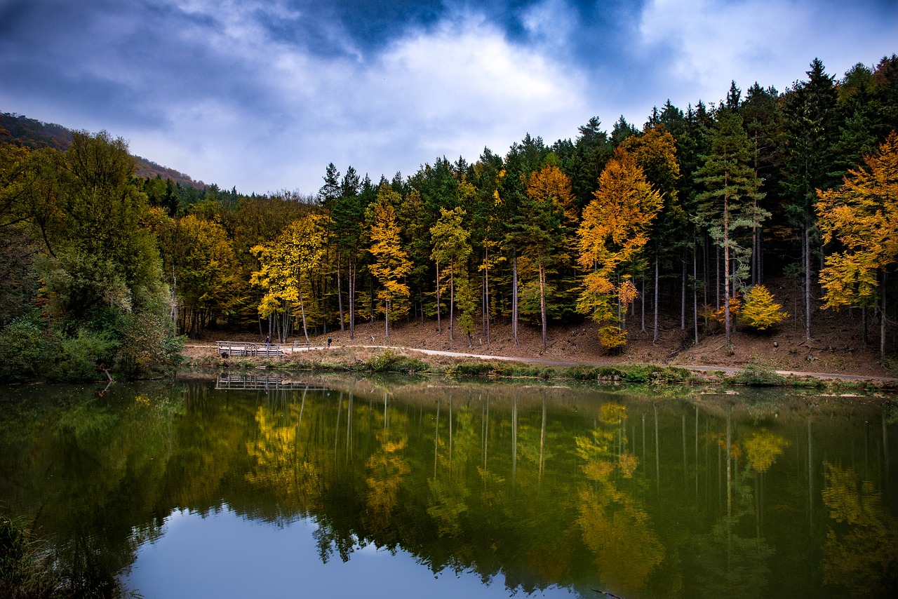 landscape fall color trees free photo