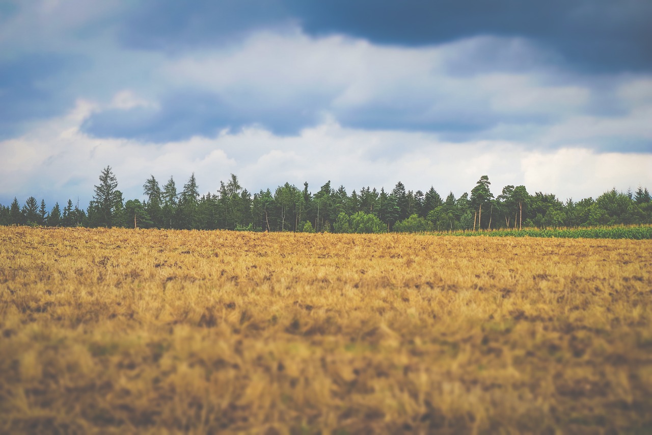 landscape rain nature free photo