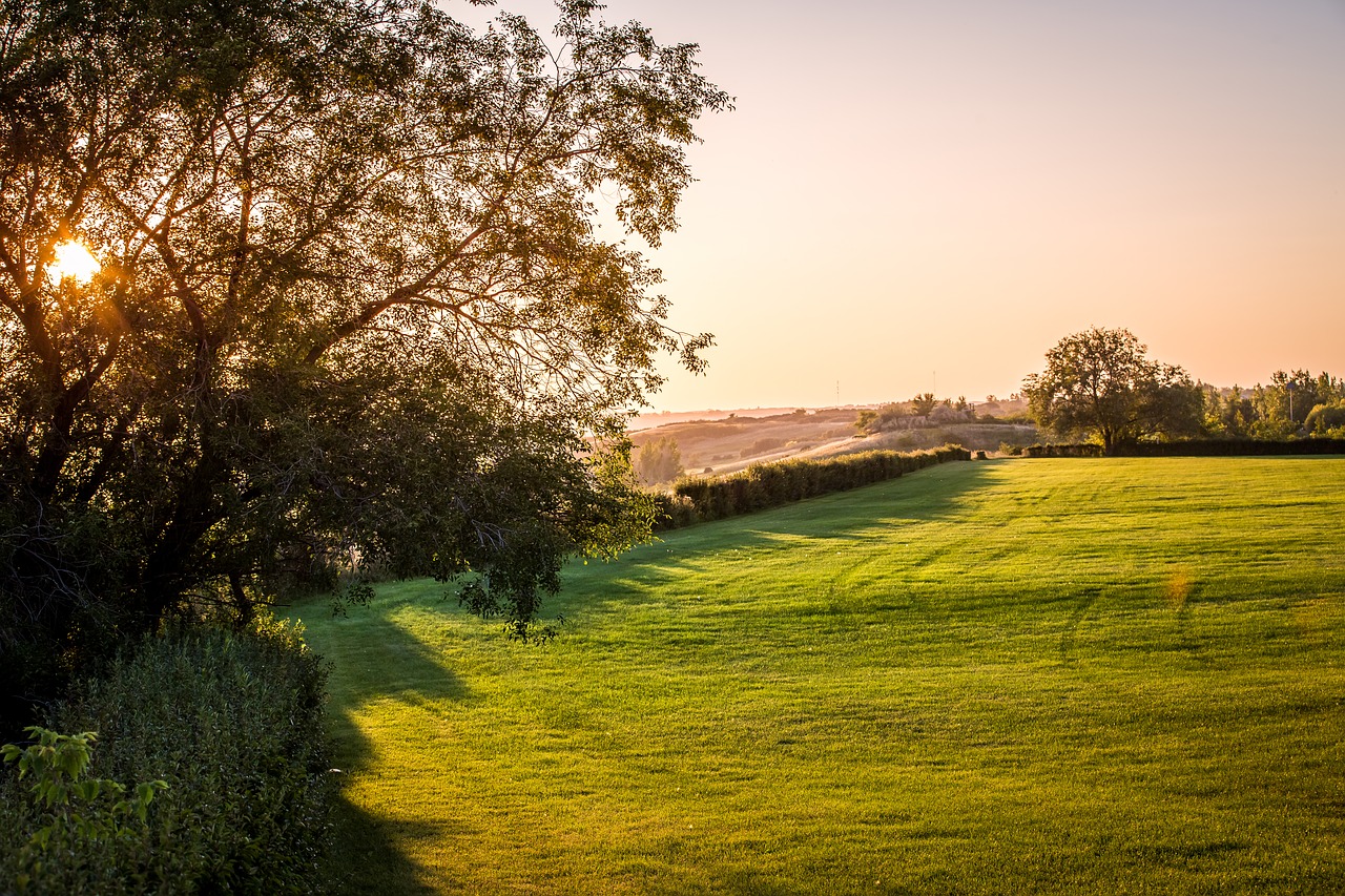 landscape sunset tree free photo