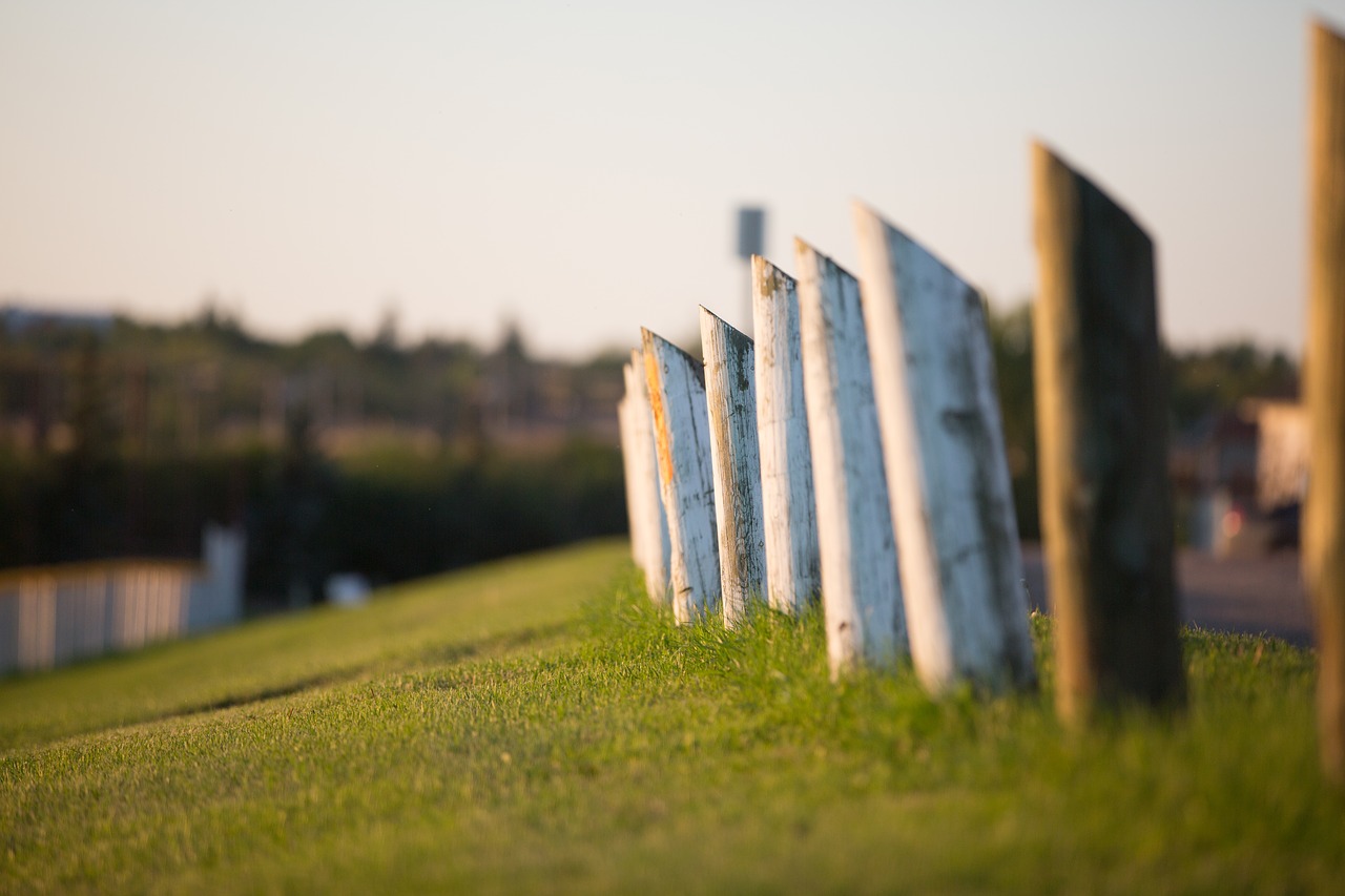 landscape fence green free photo