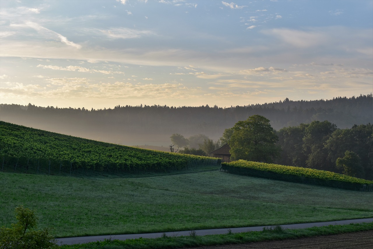 landscape view sunrise free photo