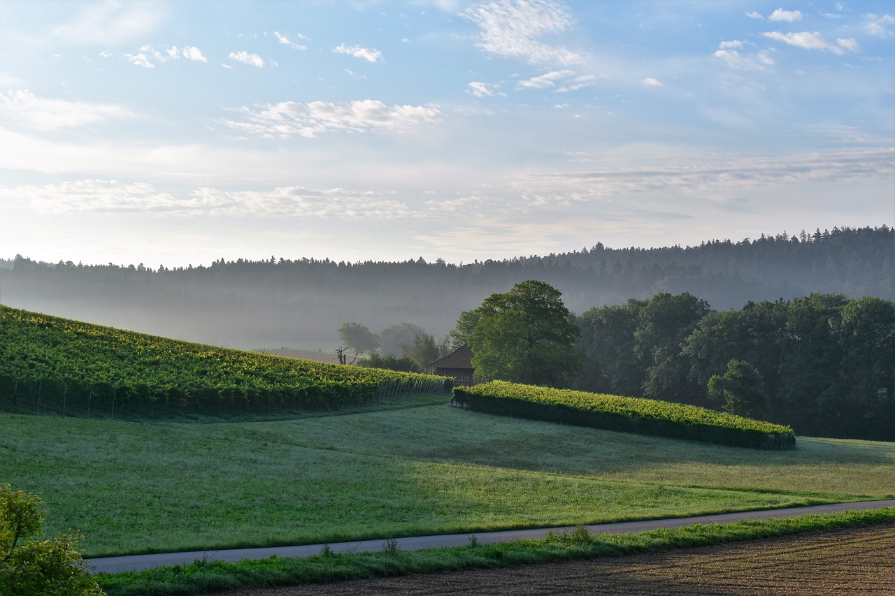 landscape view sunrise free photo