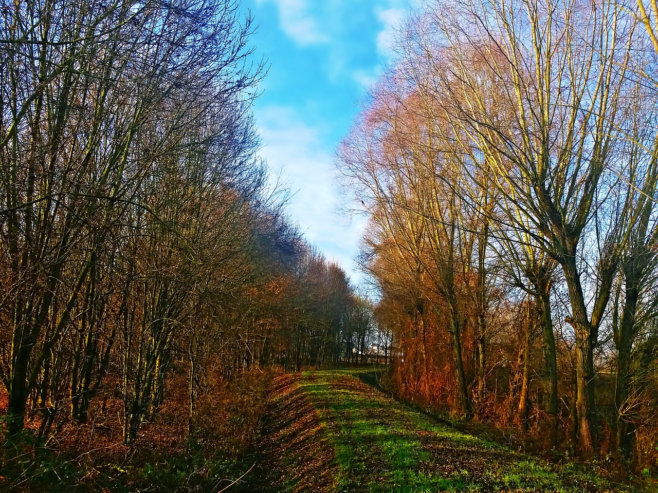 landscape autumn nature free photo