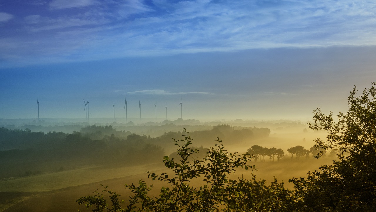 landscape morning fog free photo