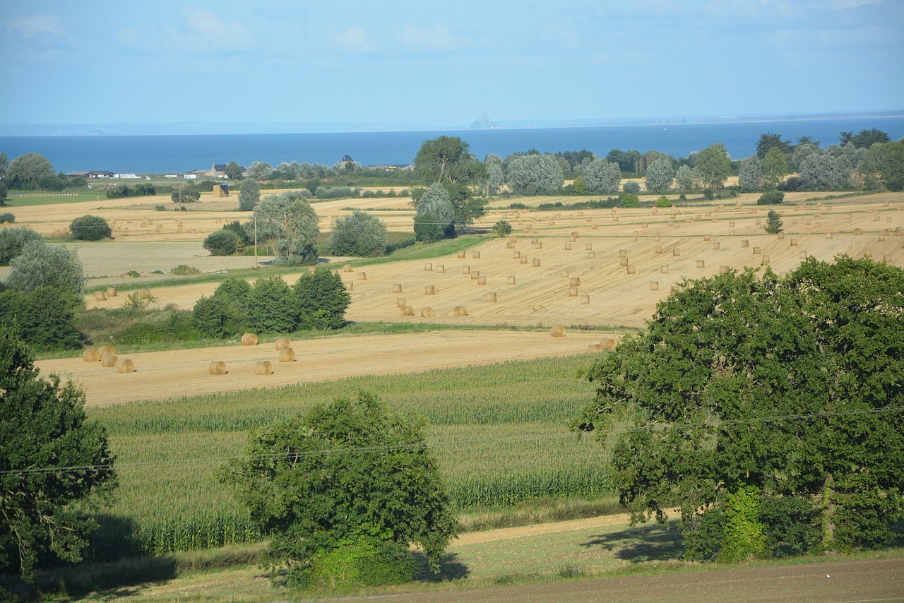 landscape field horizon free photo