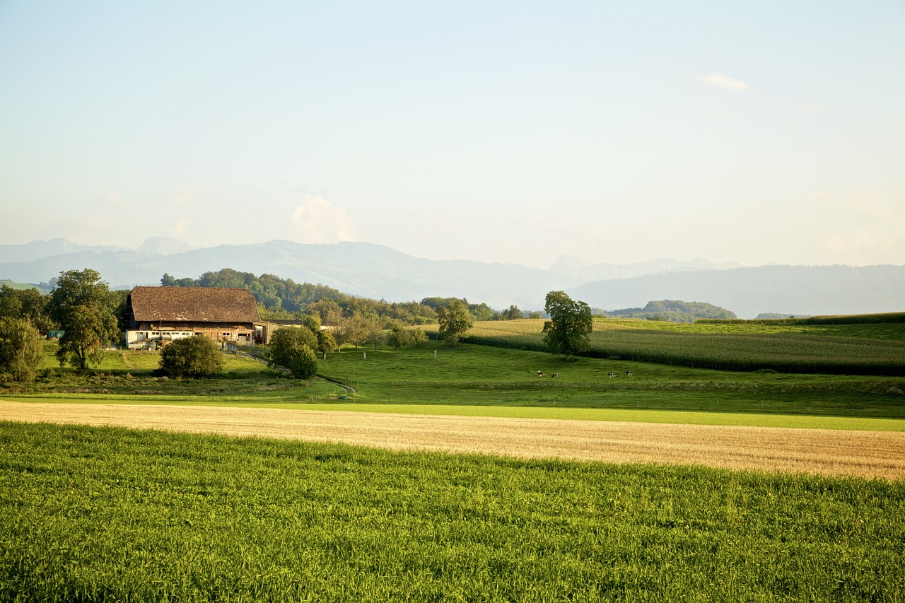 landscape mountains evening free photo