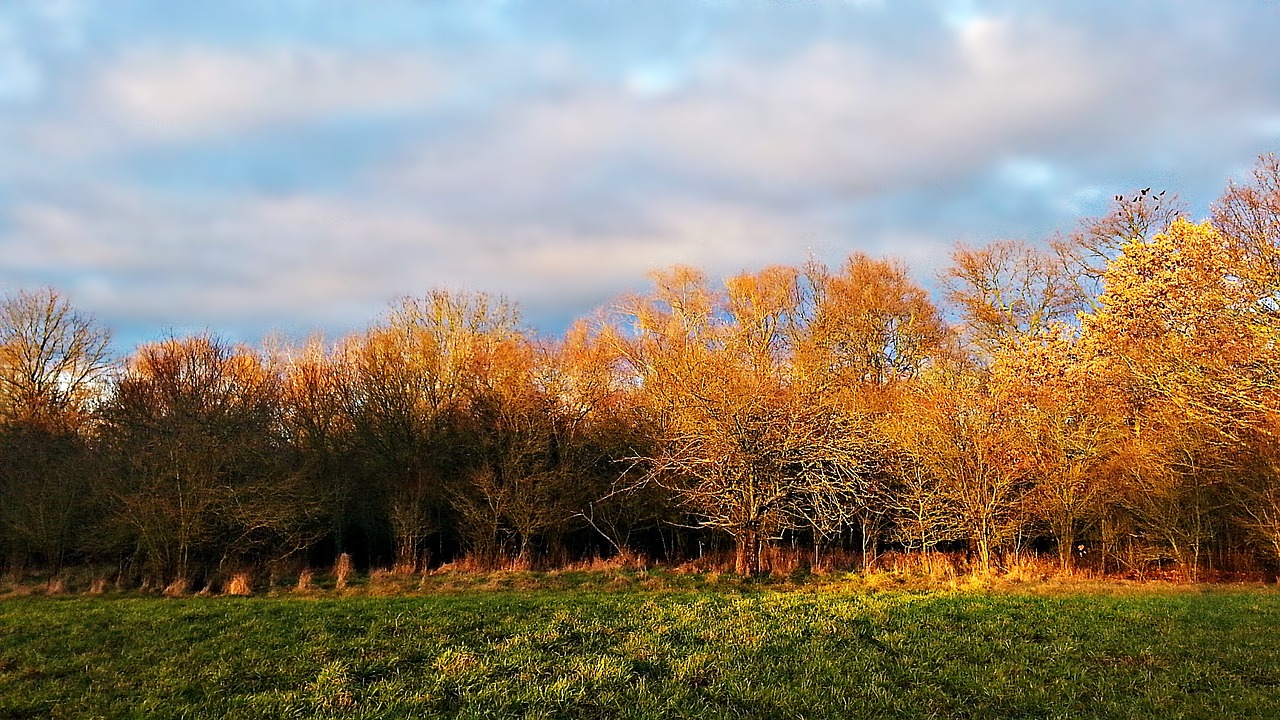 landscape the sun in the sun free photo