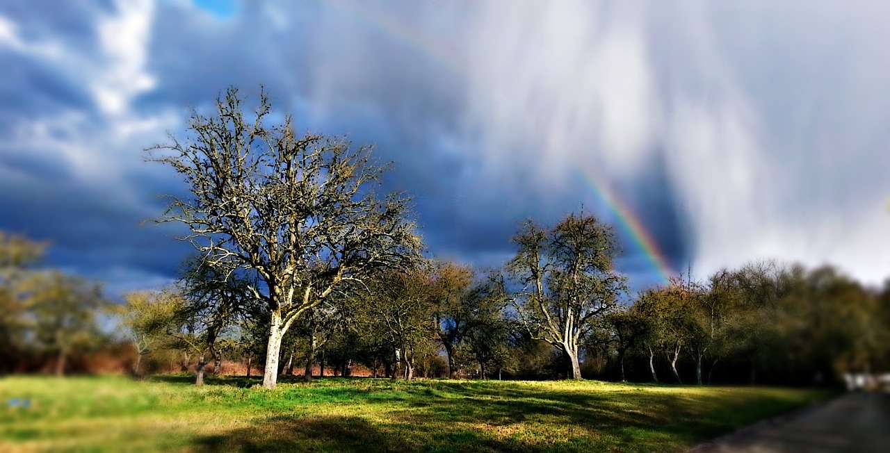 landscape storm rain free photo