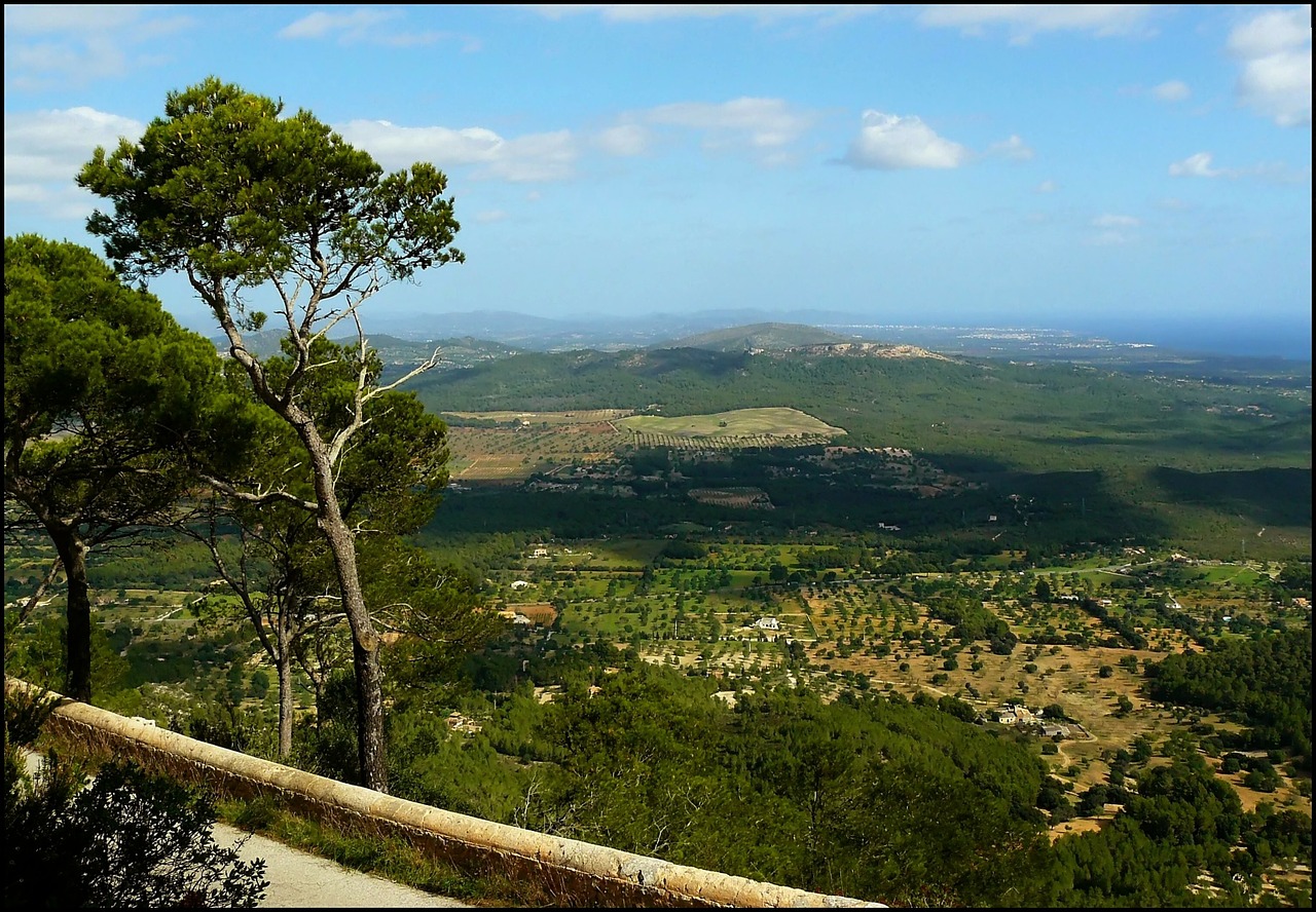 landscape nature summer free photo