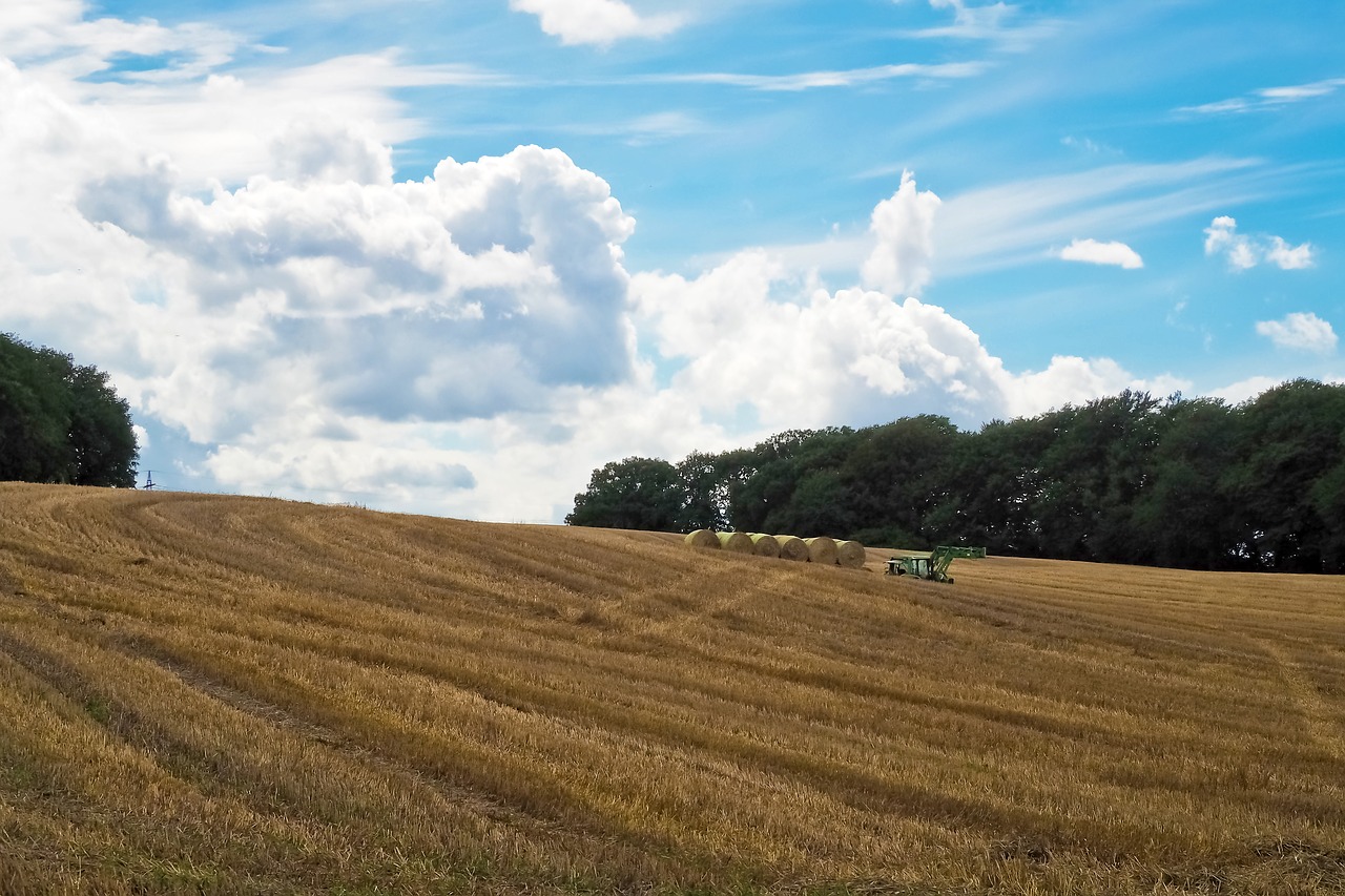 landscape field nature free photo