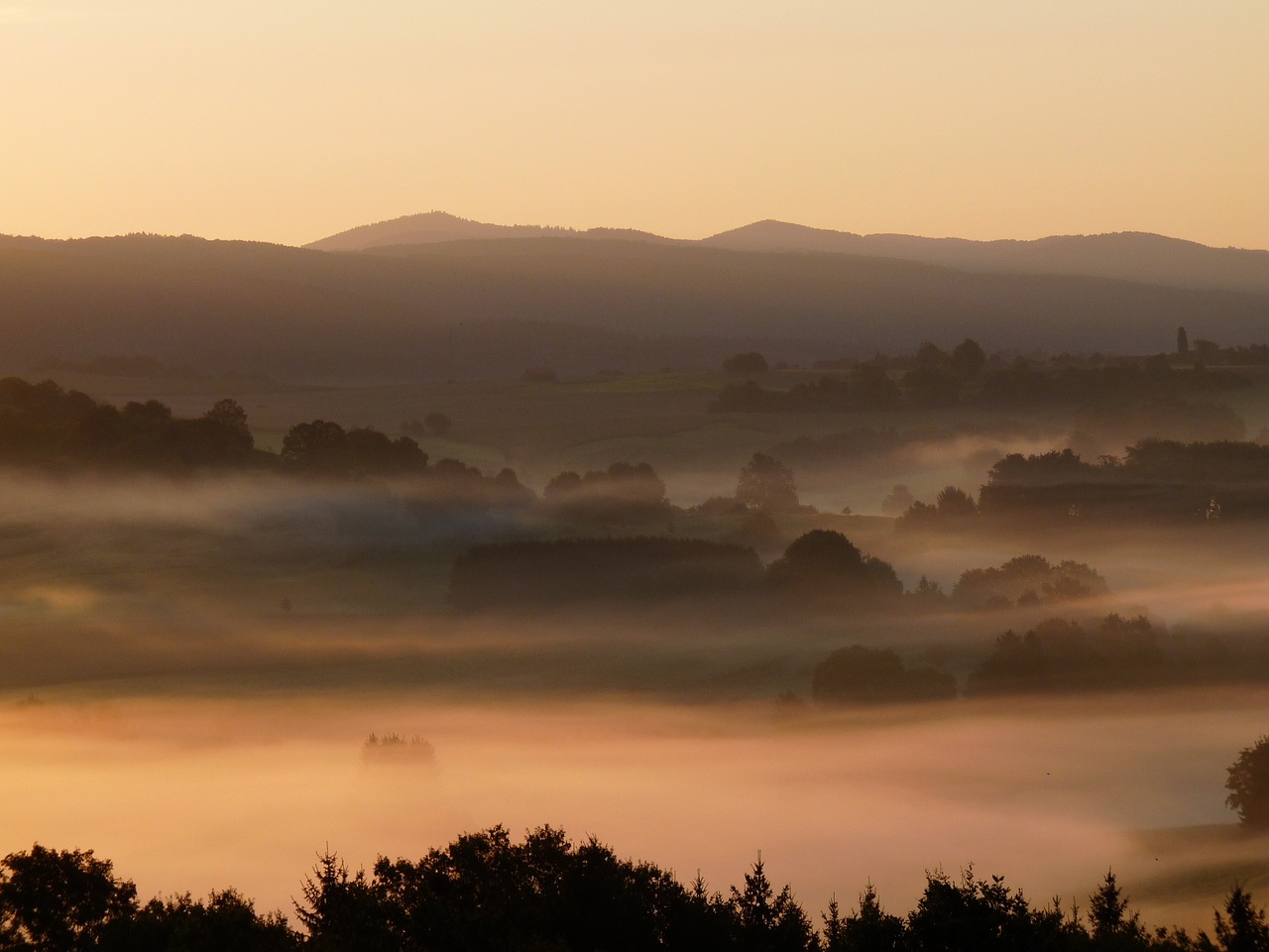 landscape fog morning free photo