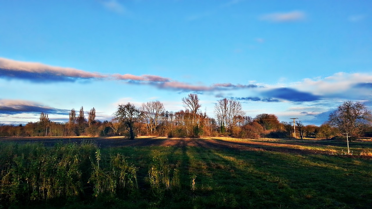 landscape field nature free photo