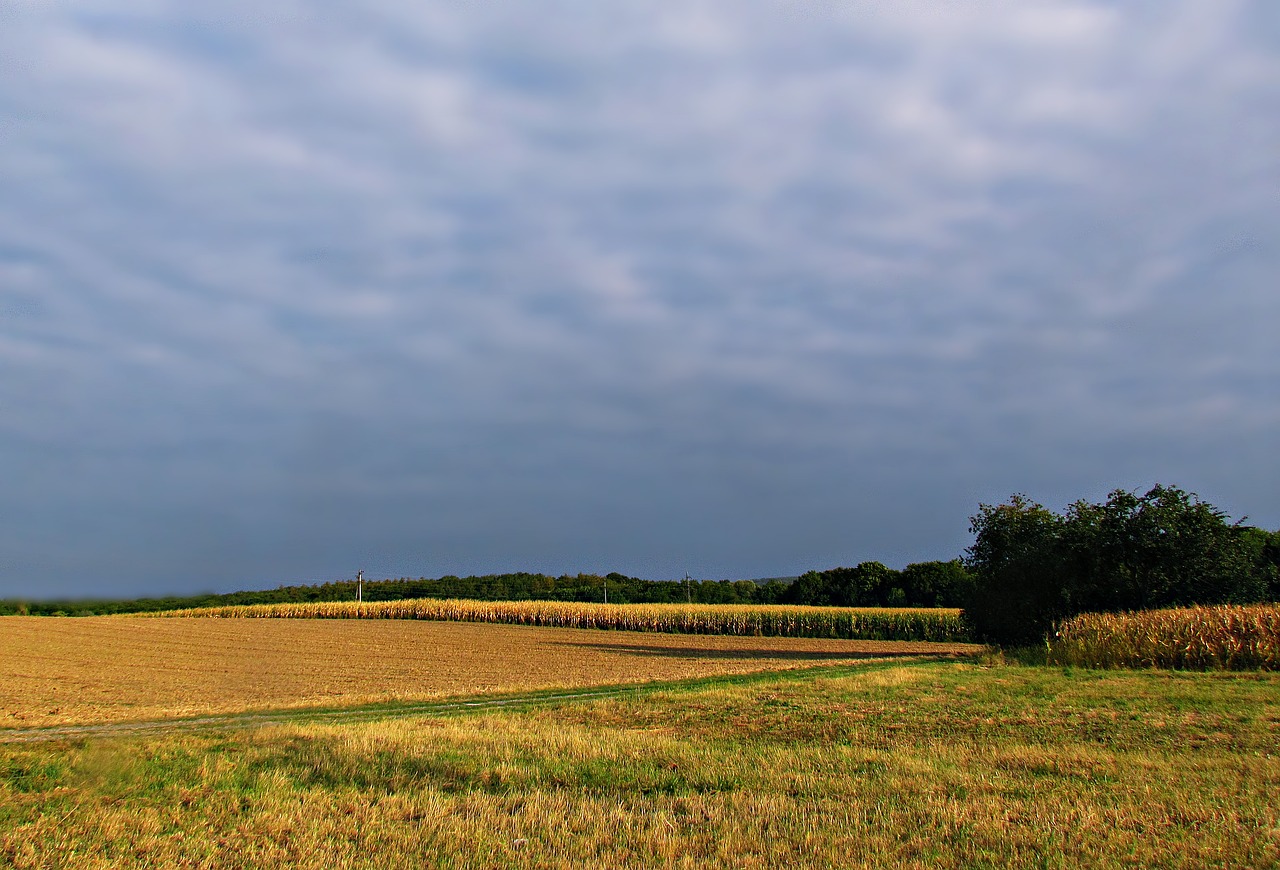 landscape field clouds free photo