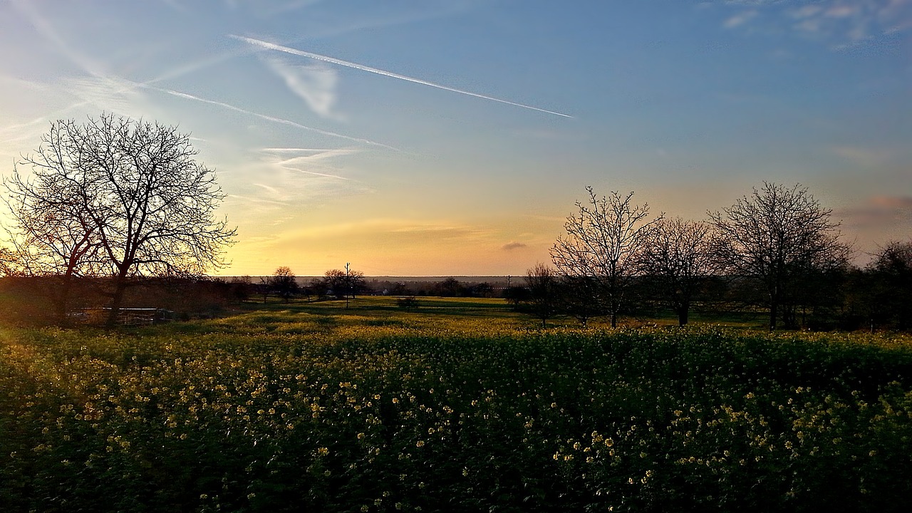 landscape nature green free photo