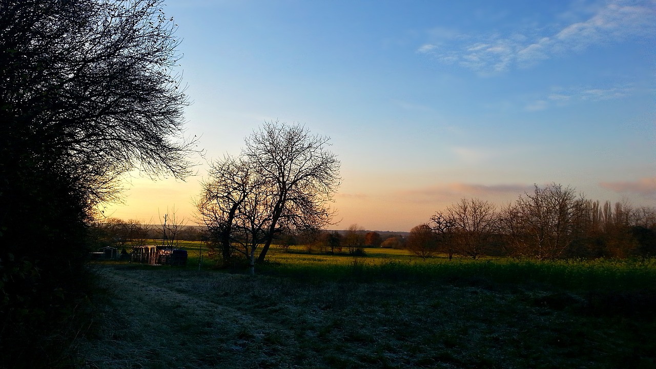 landscape nature green free photo