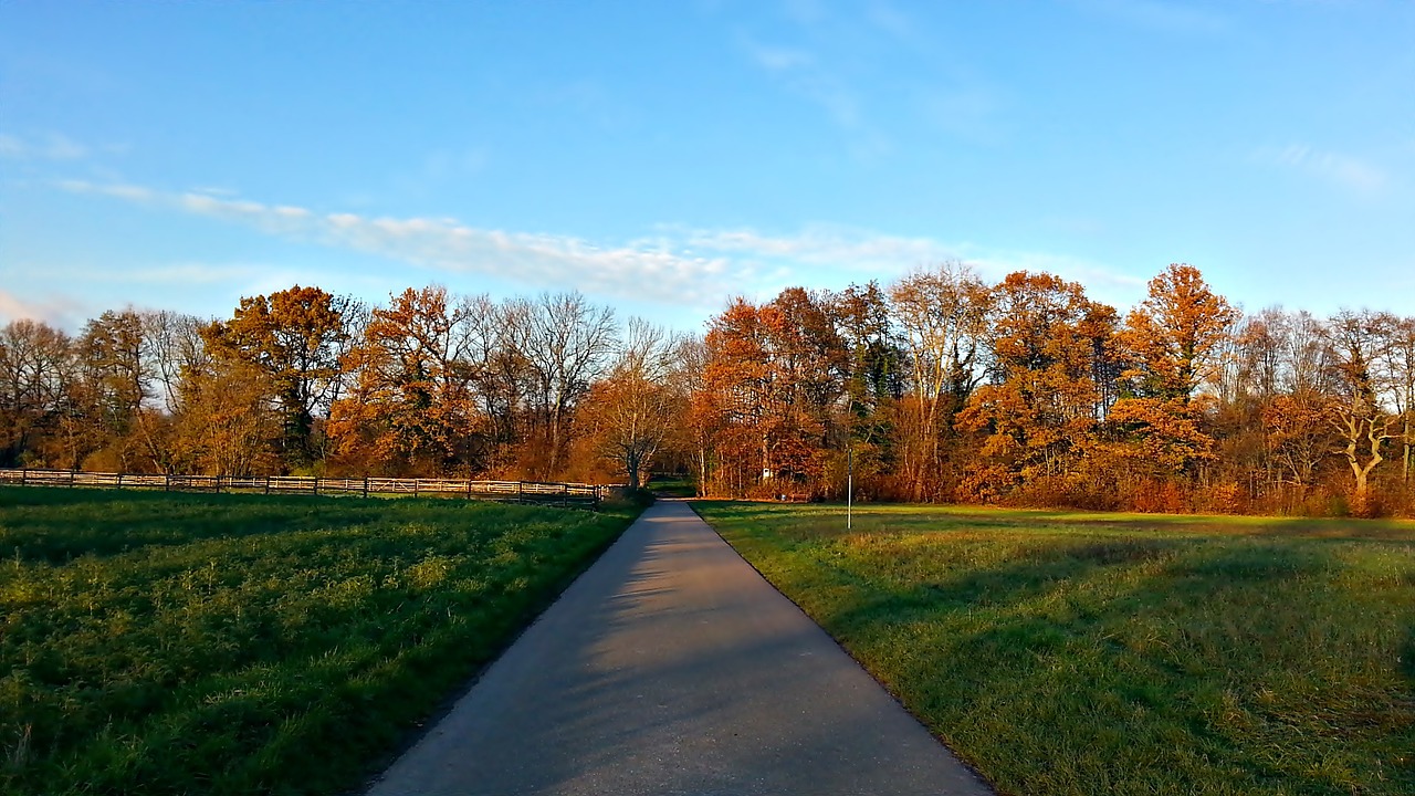 landscape nature green free photo